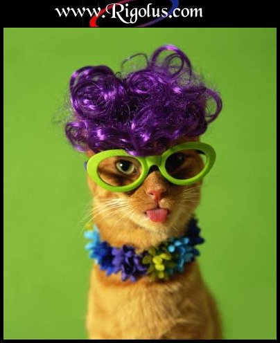 CHAT