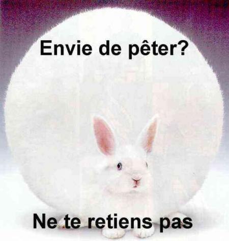 mdr trop drol